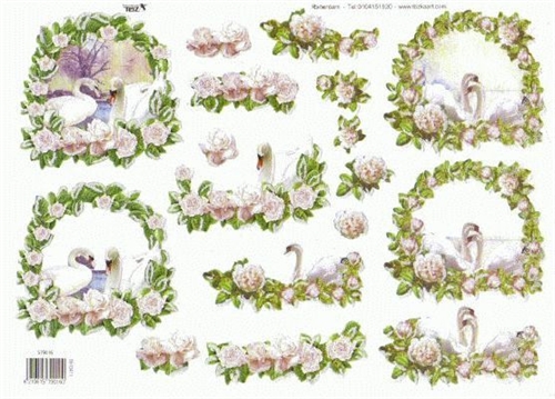 3D TBZ Svaner i blomsterranker 